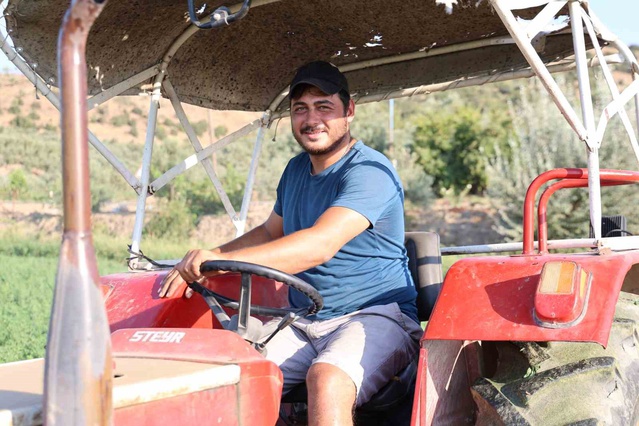 Aydın'da bu yılki yağışlar yonca üreticisinin dönüm başına 420 kiloya ulaşan verimini artırdı