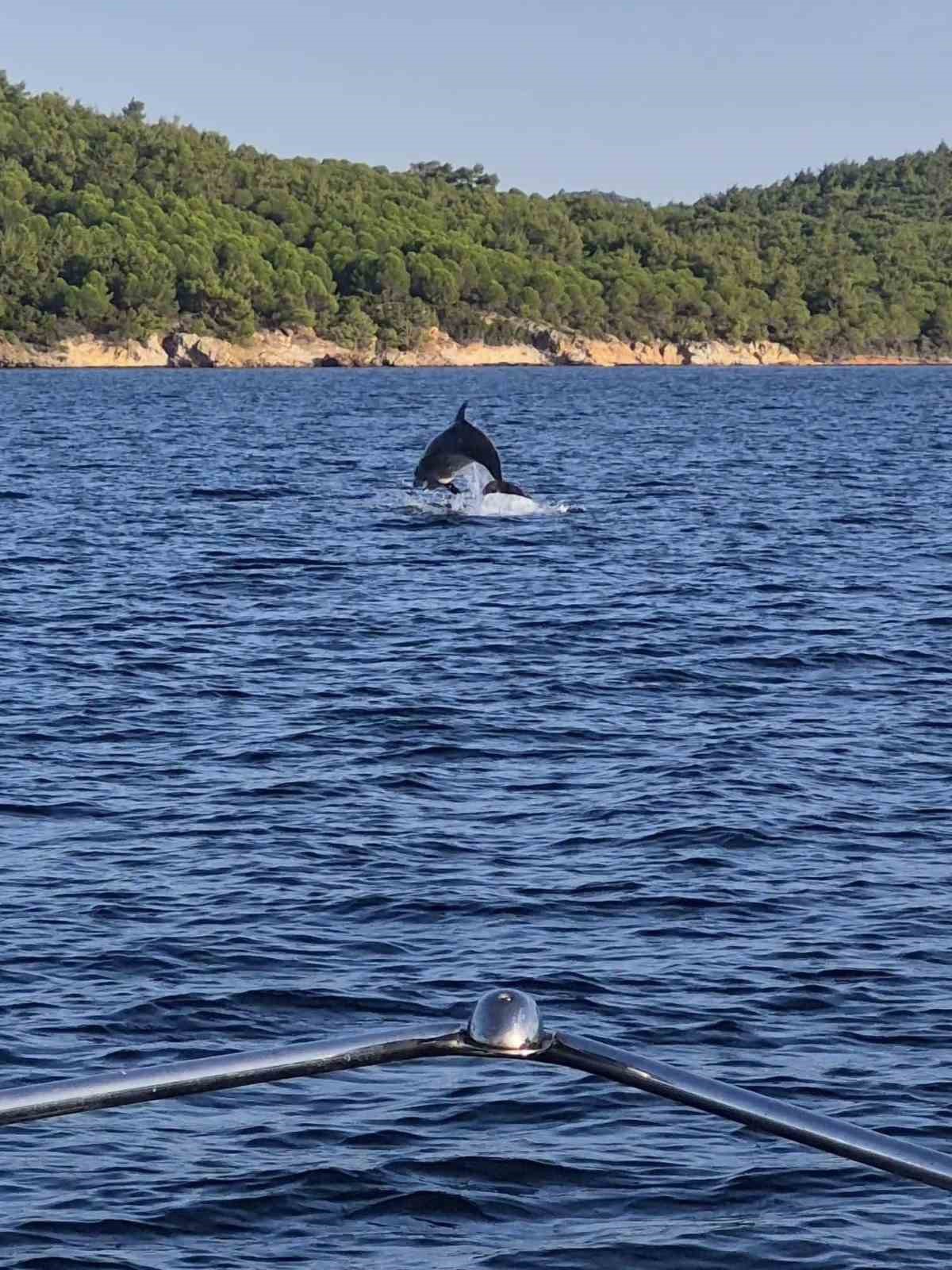 Ayvalık'ta tekne turuna çıkan engelli derneği başkanına yunus eşlik etti