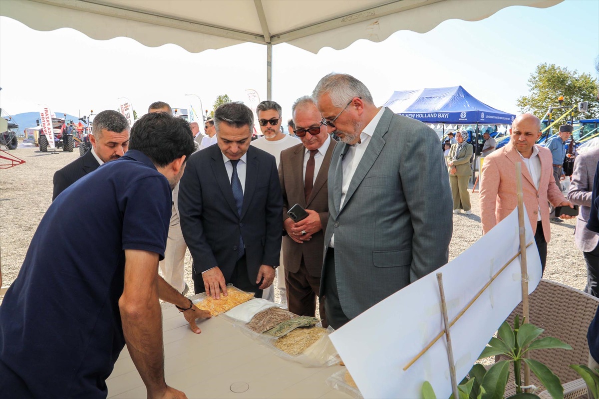Bafra'da tarım fuarında 'Bafra Tanesi' pirincinin tanıtımı yapılıyor