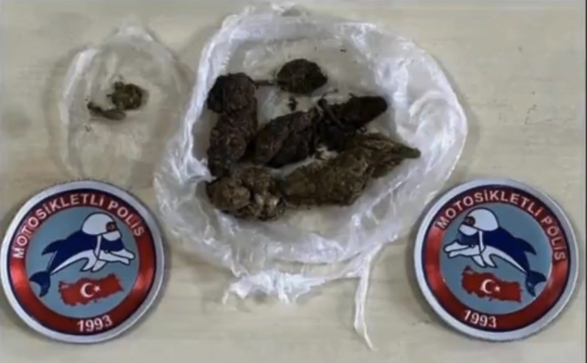 Bingöl'de polis operasyonunda 43 şüpheli yakalandı, 2'si tutuklandı