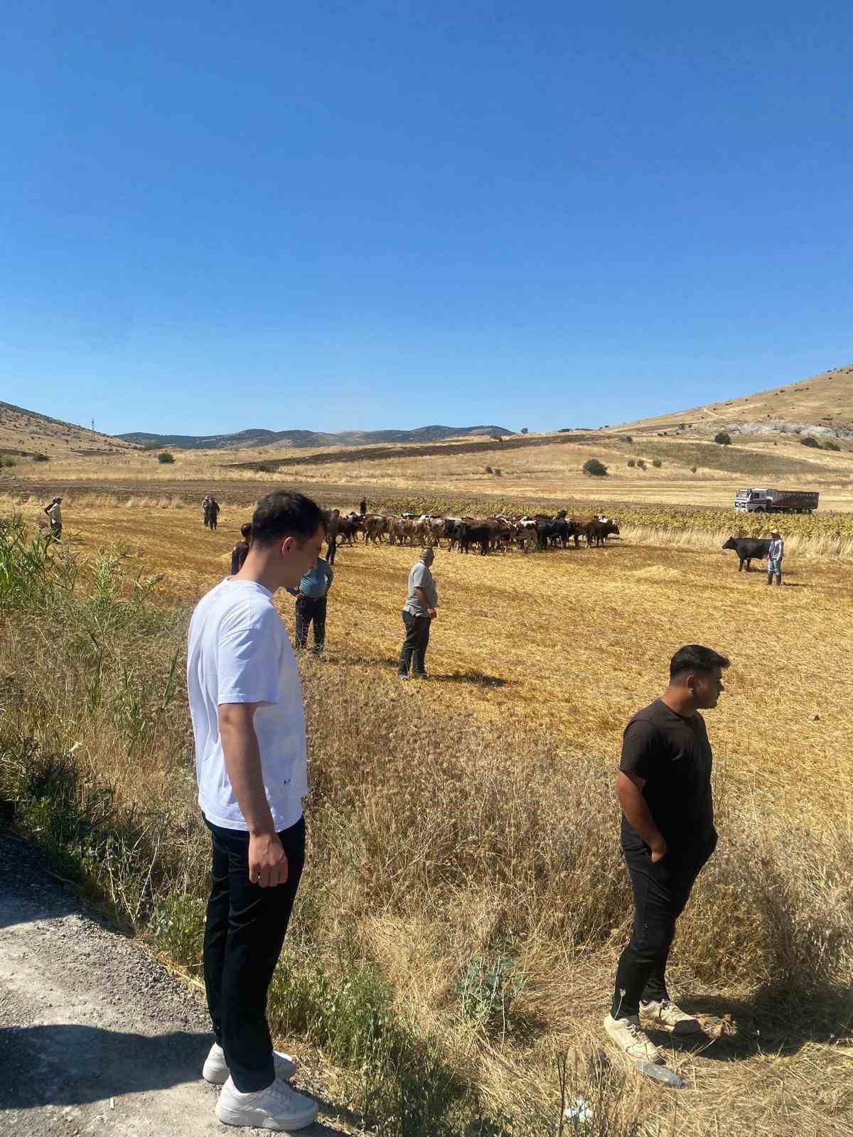 Kırşehir Boztepe'de hayvan yüklü tır yan yattı, sürücü kazayı yara almadan atlattı