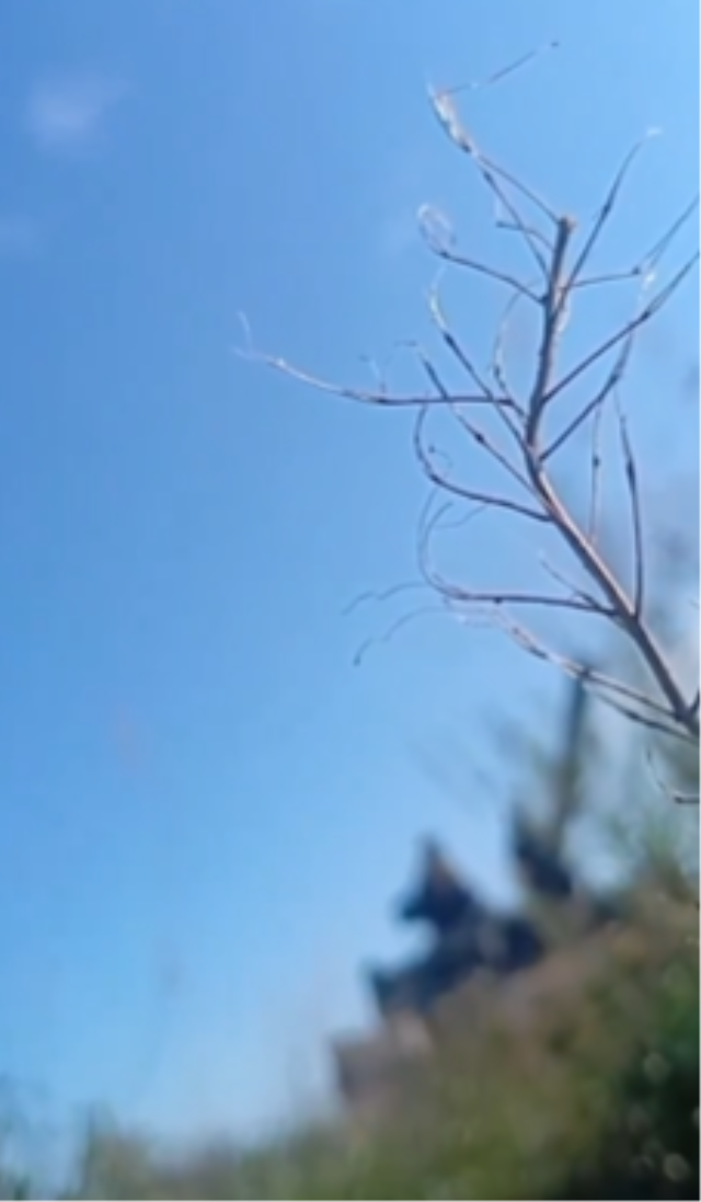 Üzerinden geçen tankı böyle kaydetti
