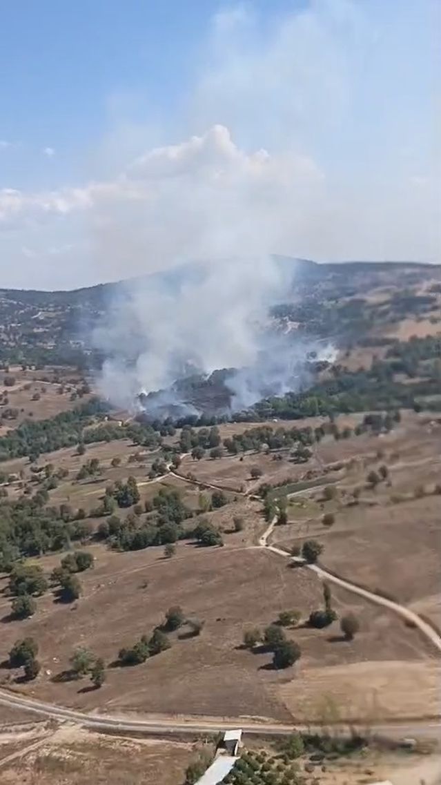 Bursa'da iki ilçedeki ormanda yangın çıktı, ekipler havadan ve karadan müdahale ediyor