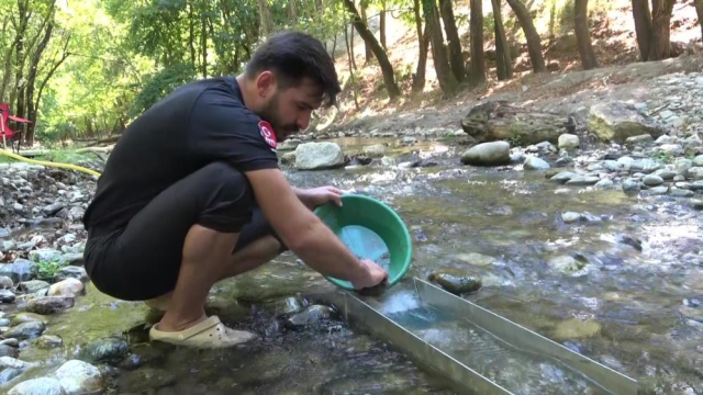 Gram gram altın topluyor! İşte en verimli iki ilçe