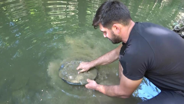 Gram gram altın topluyor! İşte en verimli iki ilçe