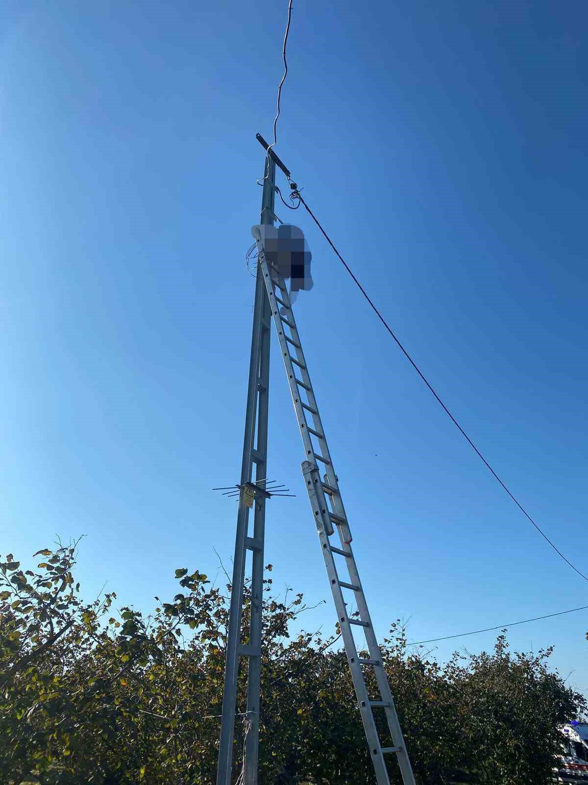 Sakarya Kocaali\'de elektrik direğine çıkan dükkan sahibi akıma kapılarak öldü.