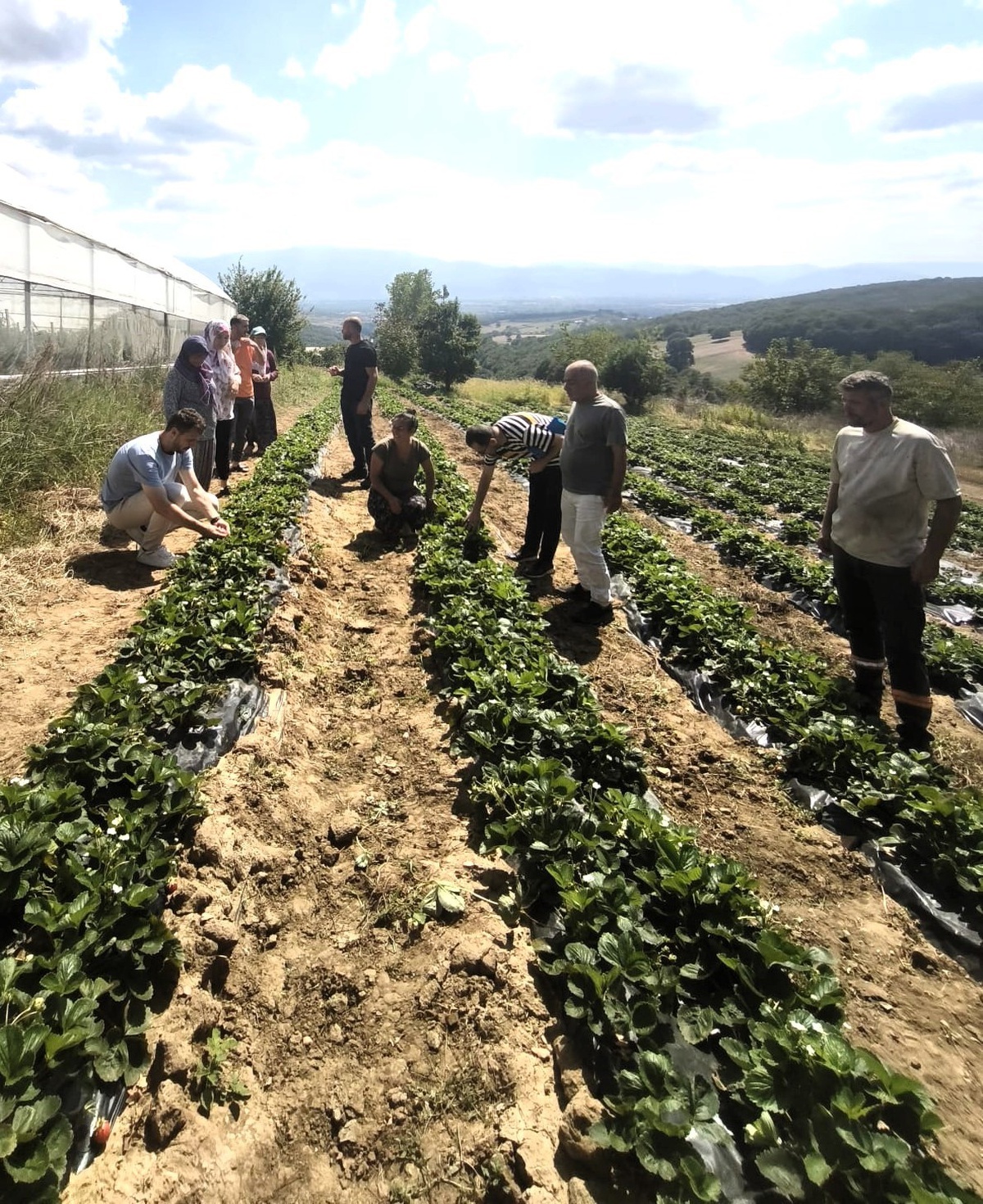 Kocaeli'de kadın ve genç üreticiler kooperatifte buluştu, Dağköy'de doğal üretim büyüyor