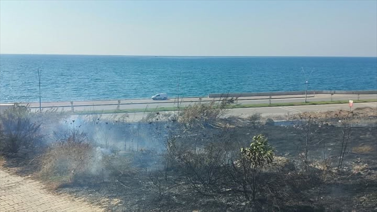 Hatay Arsuz'da otluk yangını itfaiyenin müdahalesiyle büyümeden söndürüldü