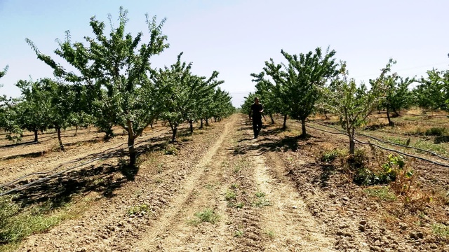 Hobi olarak başladı şimdi para basıyor