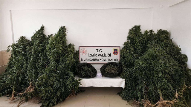 İzmir Kiraz'da jandarma baskınında 13 kilo 400 gram esrar ele geçirildi, zanlı tutuklandı