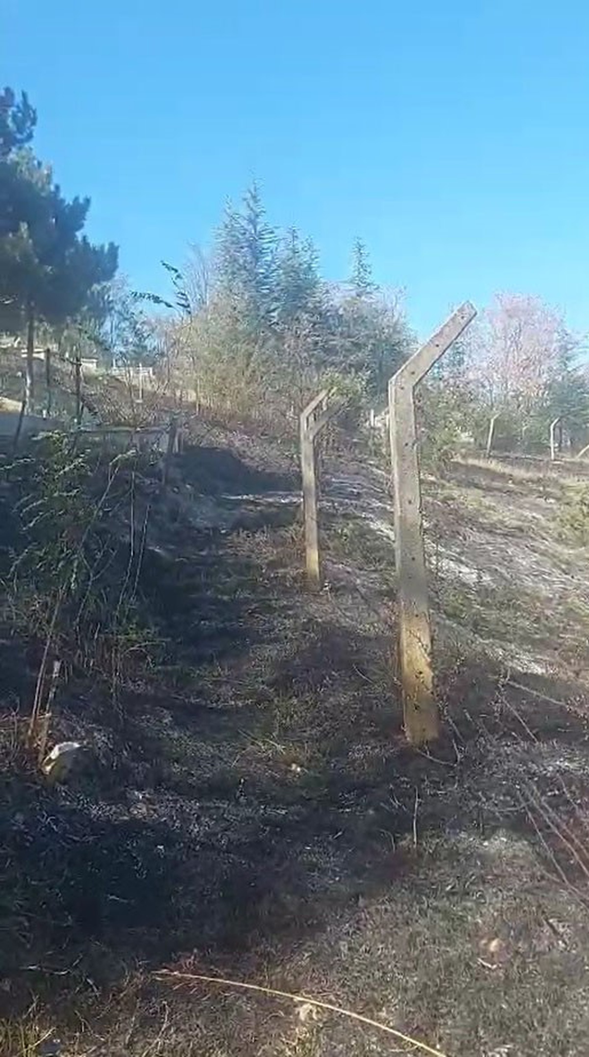 Kastamonu\'da otluk yangını mezarlığa sıçradı, bazı mezarlar zarar gördü