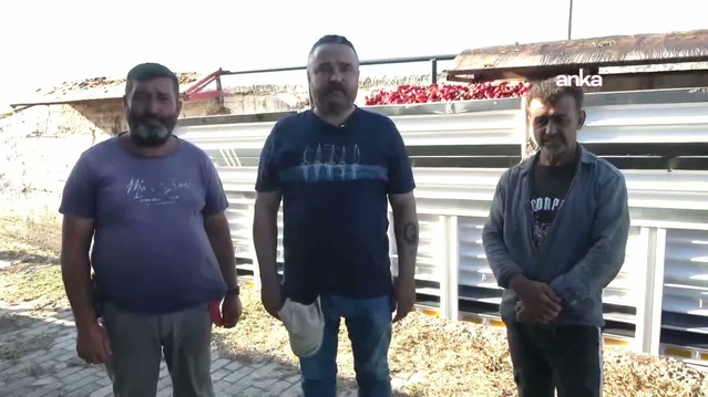 İzmir Kınık'ta çiftçiler artan maliyetler ve düşük fiyatlar nedeniyle üretimden uzaklaştı