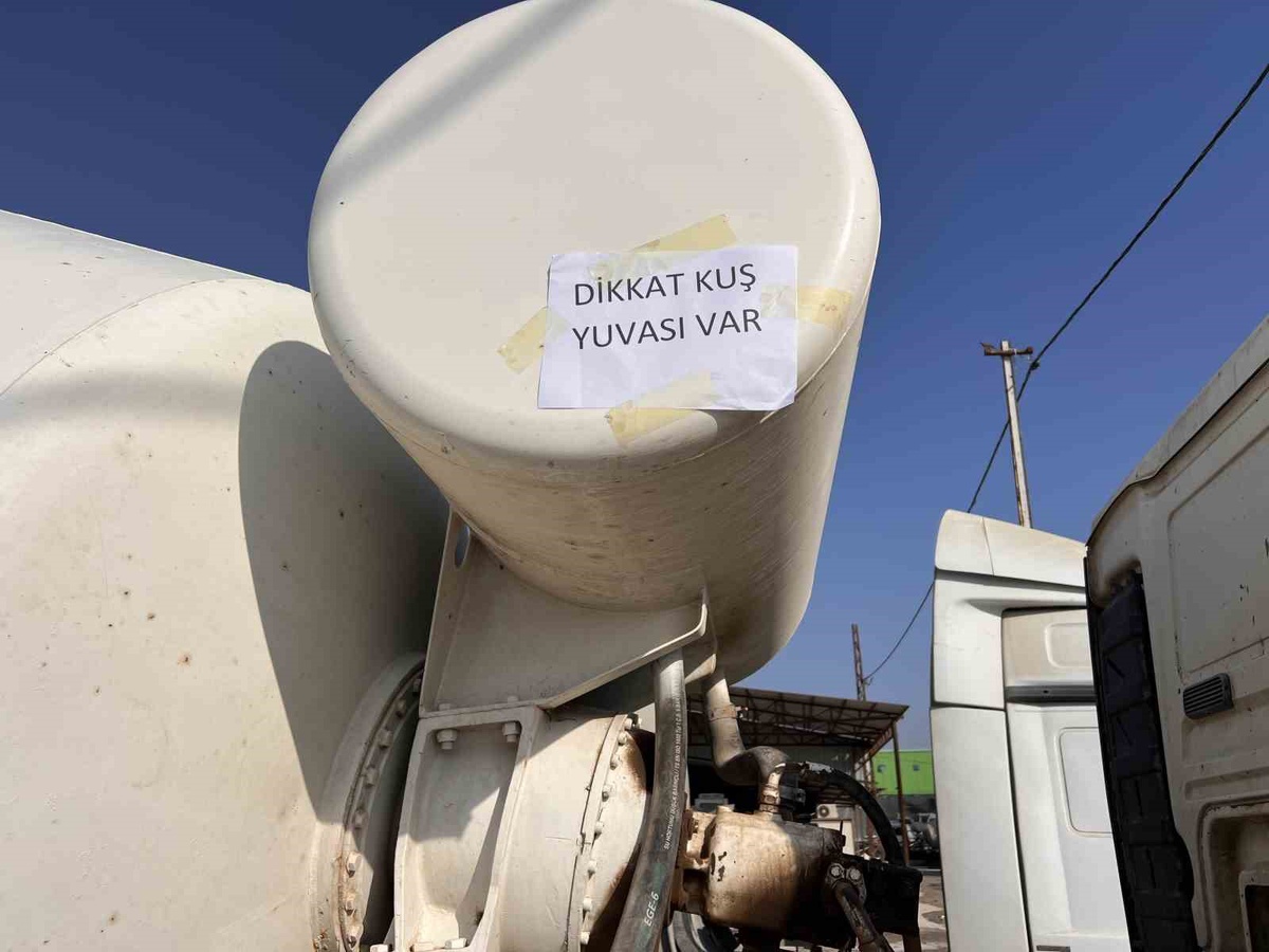 Hatay'da kumru yavruları uçana kadar beton mikseri çalıştırılmayacak