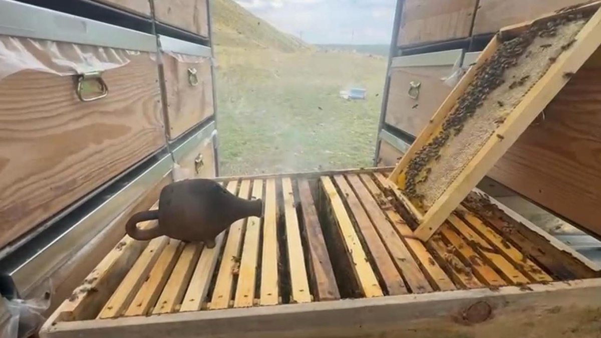Karslı arıcı, TIR'a kurduğu mobil tesisteki 340 kovanda bal hasadına başladı