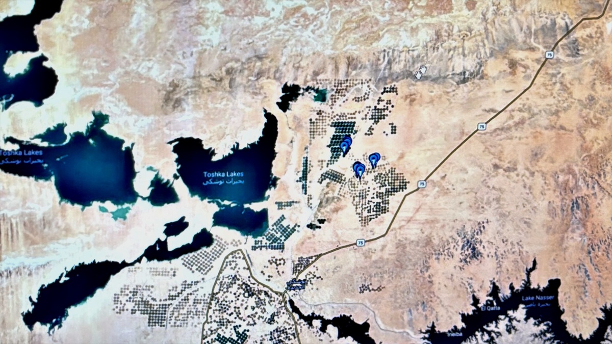 Kocaeli'de halkalanan leylek Atlas, 2 bin kilometrelik göçünde Mısır'a ulaştı