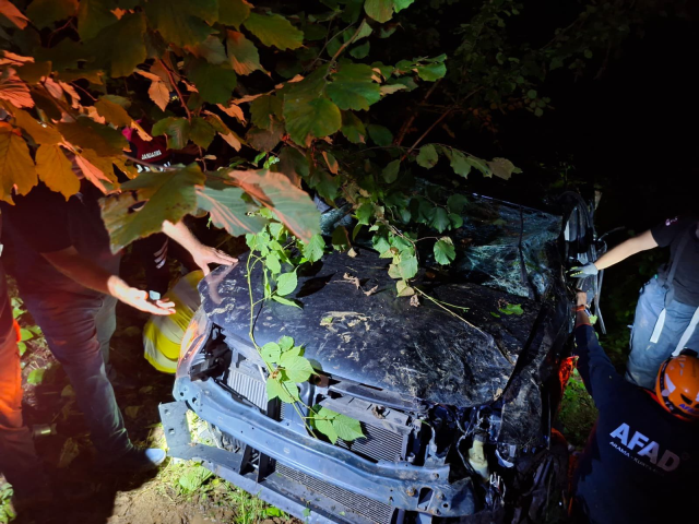 Rize’de kamyonet uçuruma yuvarlandı: 2 kardeş hayatını kaybetti
