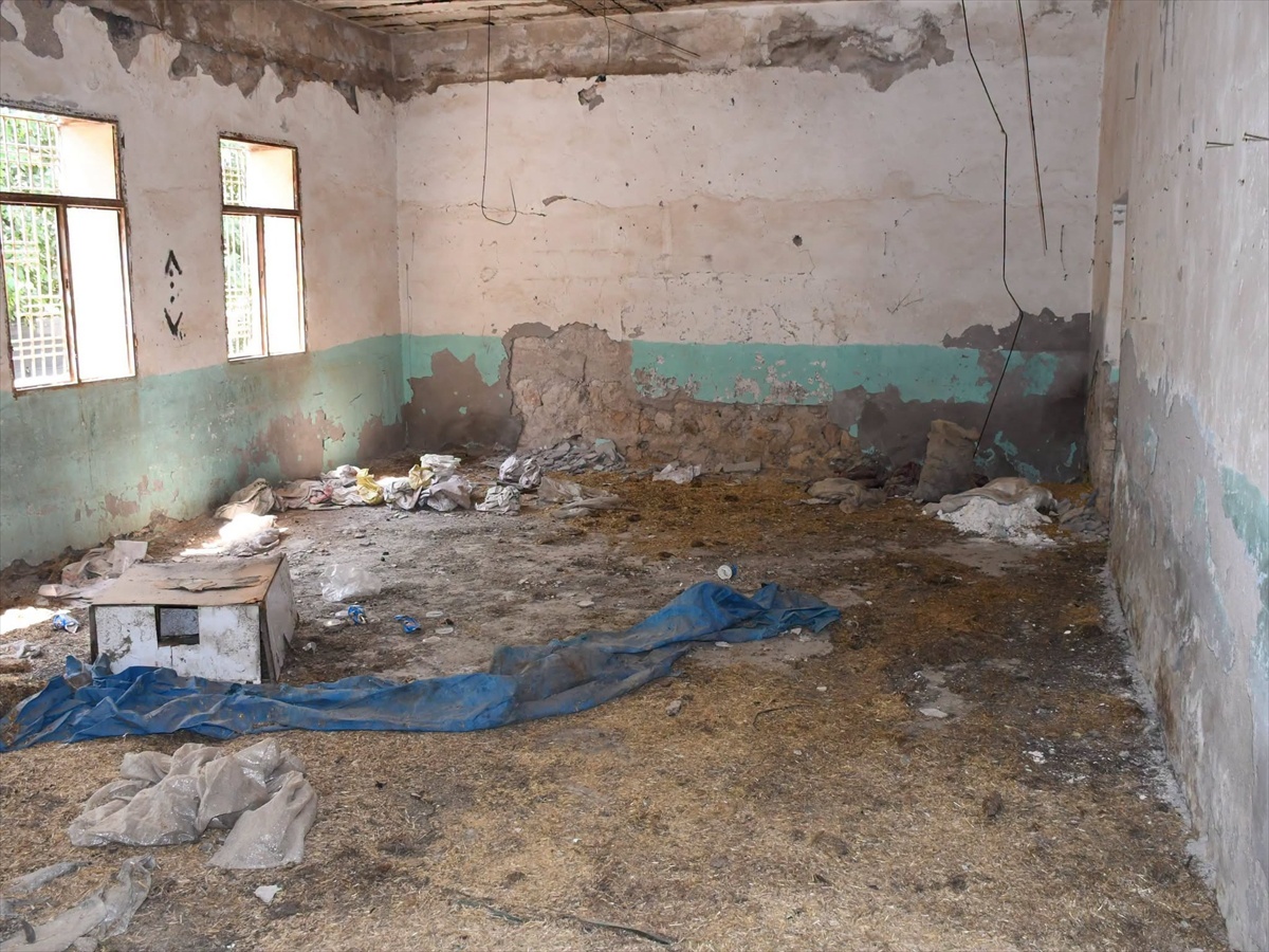 Silopi Başverimli'de çevreye tehlike saçan metruk bina için yıkım başladı