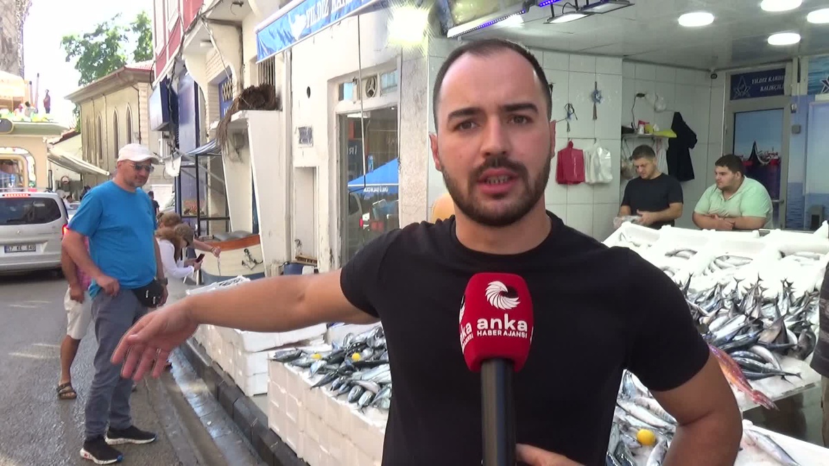 Sinop\'ta palamut bolluğu balıkçıları sevindirdi, fiyatlar 50 ila 150 lira arasında
