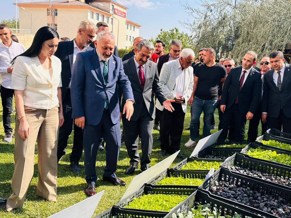 Şırnak'ta 17 çiftçiye 152 bin kışlık sebze fidesi, 50 yetiştiriciye çoban çantası dağıtıldı