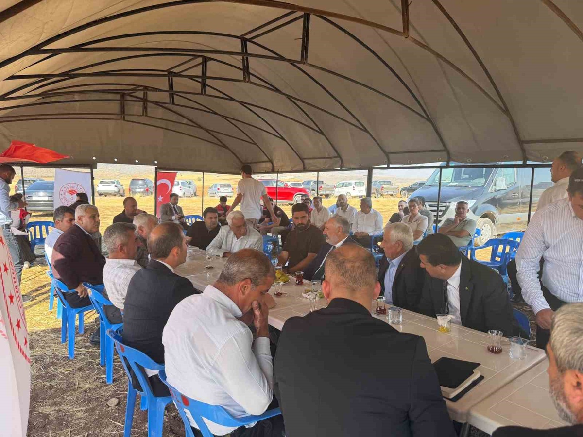 Şırnak Kumçatı'da yüzde 50 hibeyle kurulan 7 süt sığırcılığı işletmesi yerinde incelendi