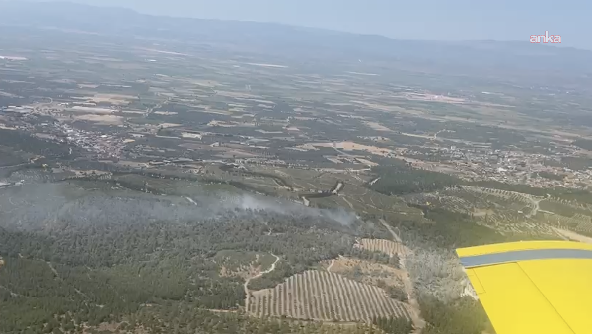 Manisa Soma\'da orman yangını havadan ve karadan müdahaleyle kontrol altına alındı