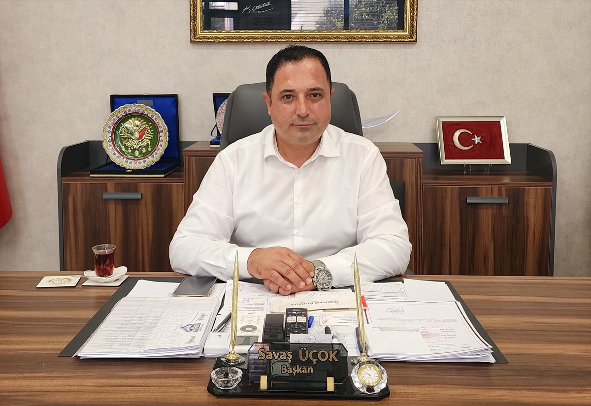 Suluova'da kanola üretimine yeniden izin verildi, çiftçiler pazar talebine göre ekecek