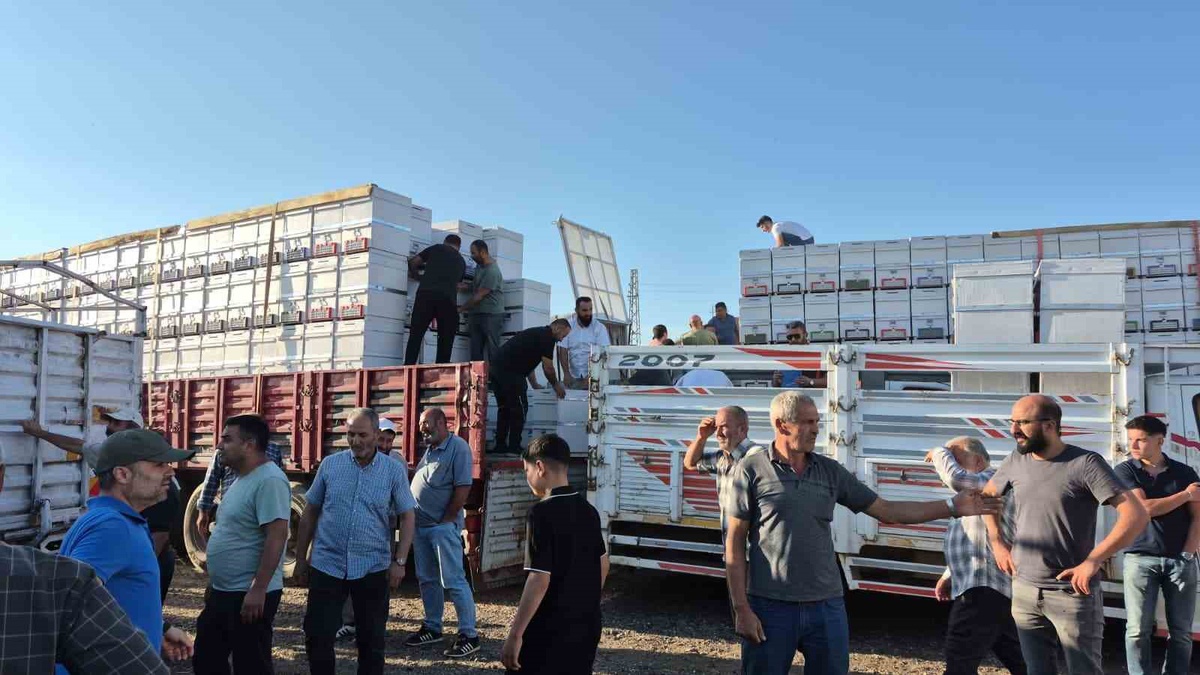 Yozgat\'ta 100 arıcıya bin 500 adet polen tuzaklı kovan teslim edildi