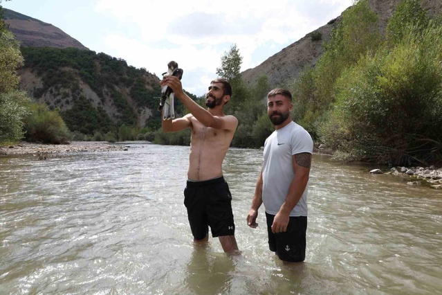 Pülümür'de üç arkadaş suda mahsur kalan kızıl şahini kurtarıp ekiplere teslim etti