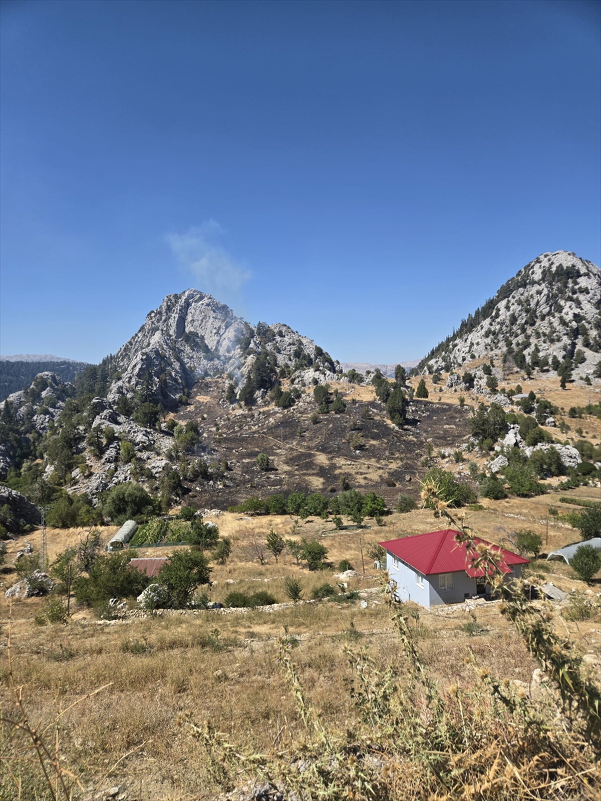 Alanya\'daki zirai yangın kontrol altına alındı, ekipler soğutma çalışması başlattı