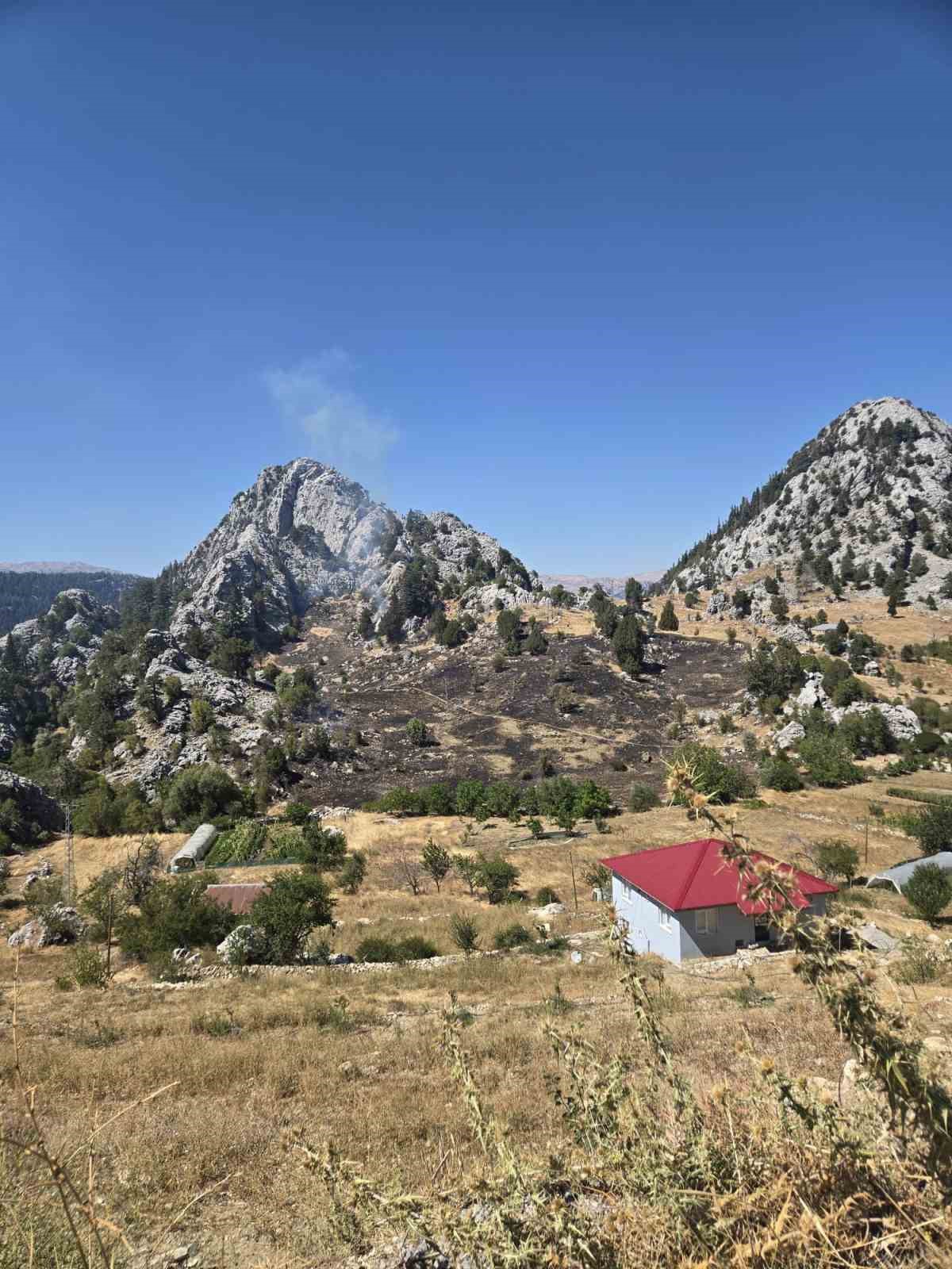 Alanya\'daki ziraat yangınları ormanlık alana sıçradı, ekipler kontrol altına aldı