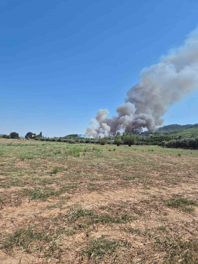 Antalya Serik'teki orman yangınını söndürmek için 5 uçak ve 13 helikopterle müdahale sürüyor