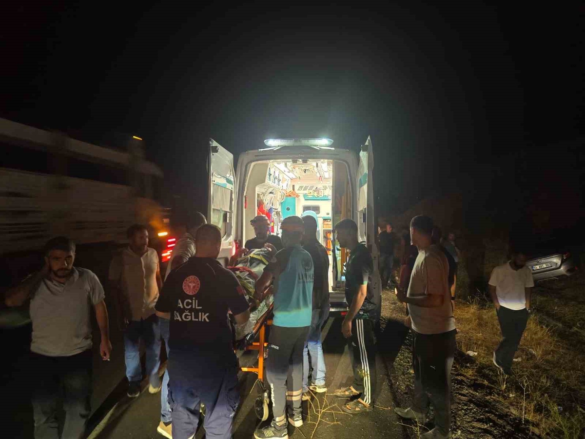 Bingöl-Diyarbakır yolunda otomobilin yoldan çıkması sonucu kazada 2 kişi yaralandı