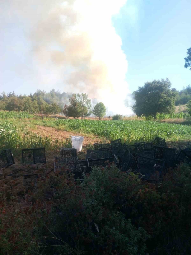 Bursa Kestel'de orman yangınına 2 helikopter ve 8 araçla müdahale sürüyor