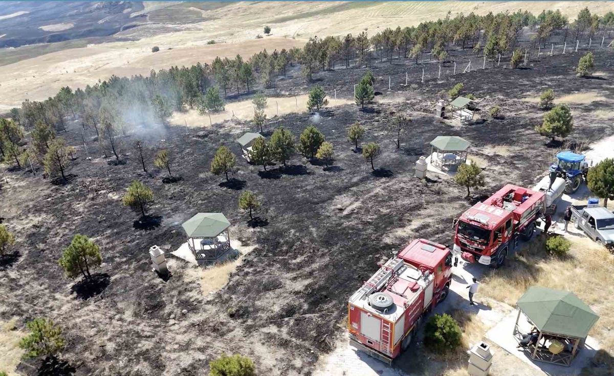 Çorum Bayat\'ta örtü yangını ormana sıçradı, 800 dönüm alan kül oldu