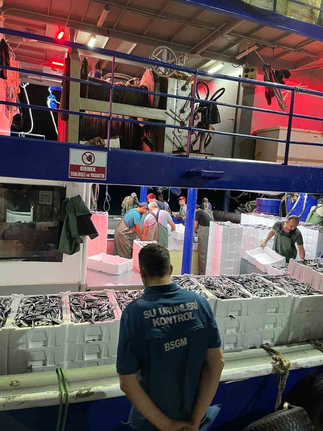 Didim'de hamsi kotası denetimlerinde balıkçı tekneleri tek tek kontrol edildi