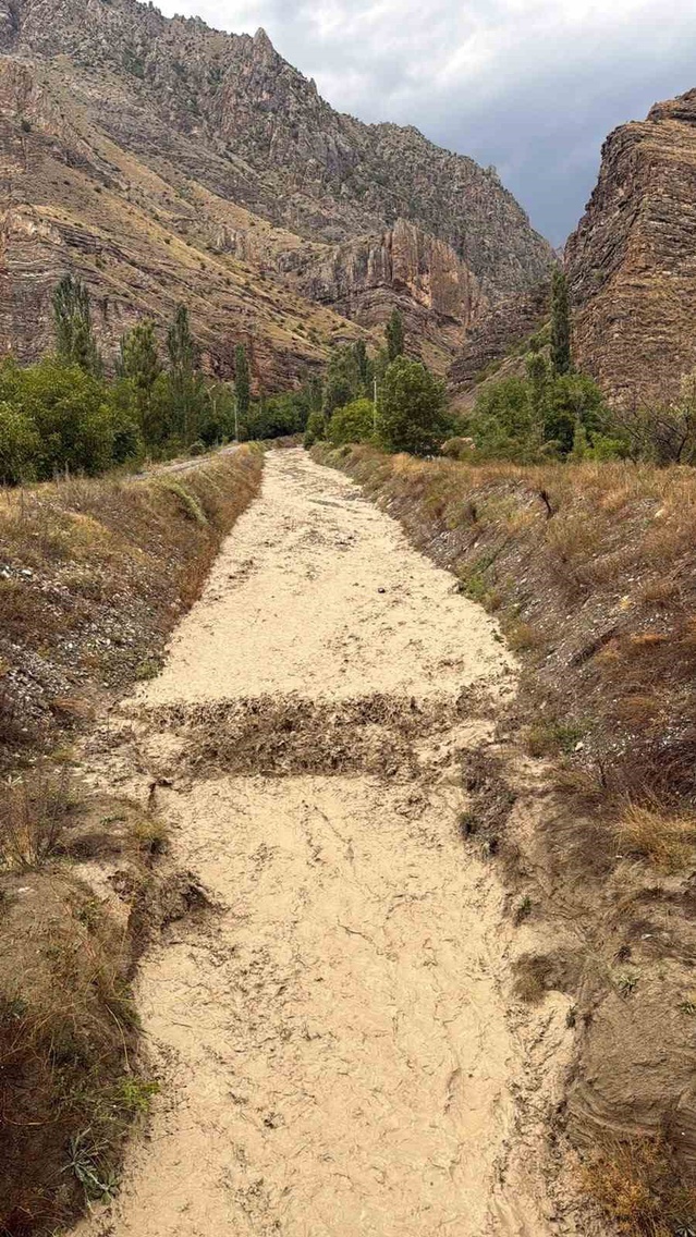 Erzurum-Artvin yolu Uzundere'de taşan derelerle kapandı, araçta mahsur kalan sürücü kurtarıldı
