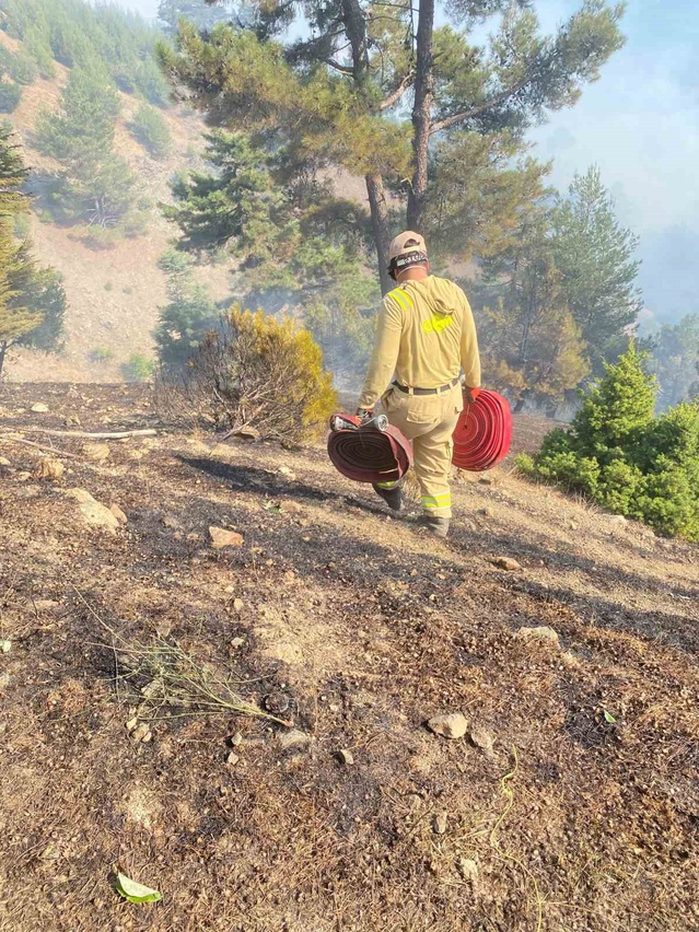 Kahramanmaraş'ta orman yangını havadan ve karadan müdahaleyle kontrol altına alındı