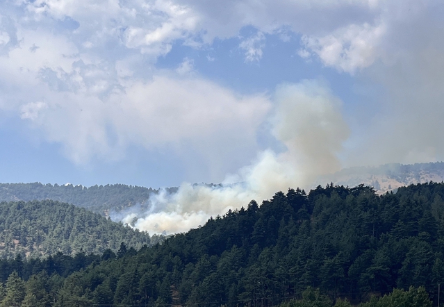 Kahramanmaraş Onikişubat'taki orman yangınına 70 personel ve 3 helikopterle müdahale sürüyor