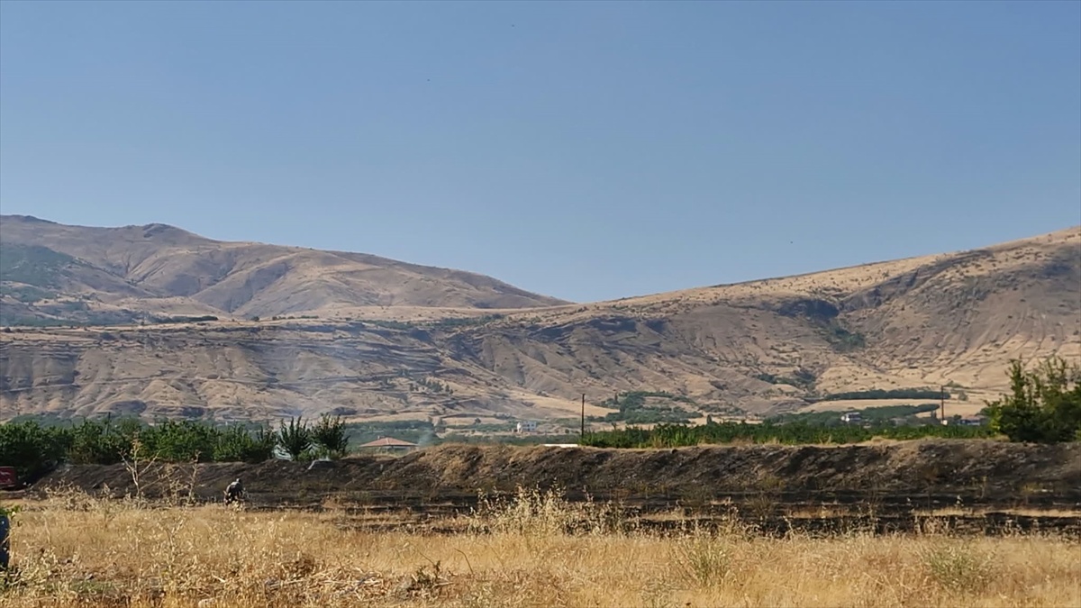 Malatya Kale\'de otluk yangında 8 dekar alan ve meyve ağaçları zarar gördü