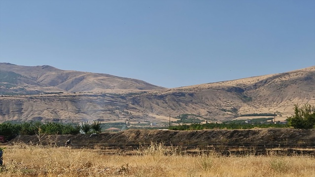 Malatya Kale'de otluk yangında 8 dekar alan ve meyve ağaçları zarar gördü