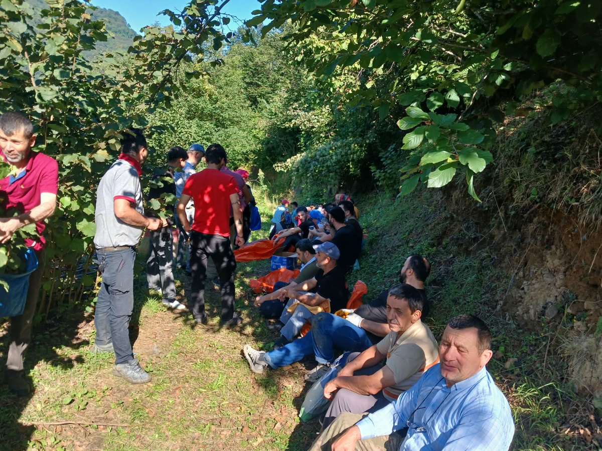Ordu\'da fındık toplarken ölen kardeşlerin ürününü 50 kişilik mahalleli imece usulü topladı