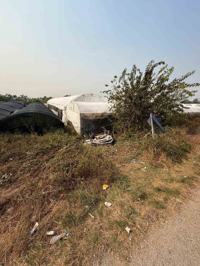 Osmaniye Kadirli'de otomobil takla atıp tarlaya uçtu, 3 kişi yaralandı