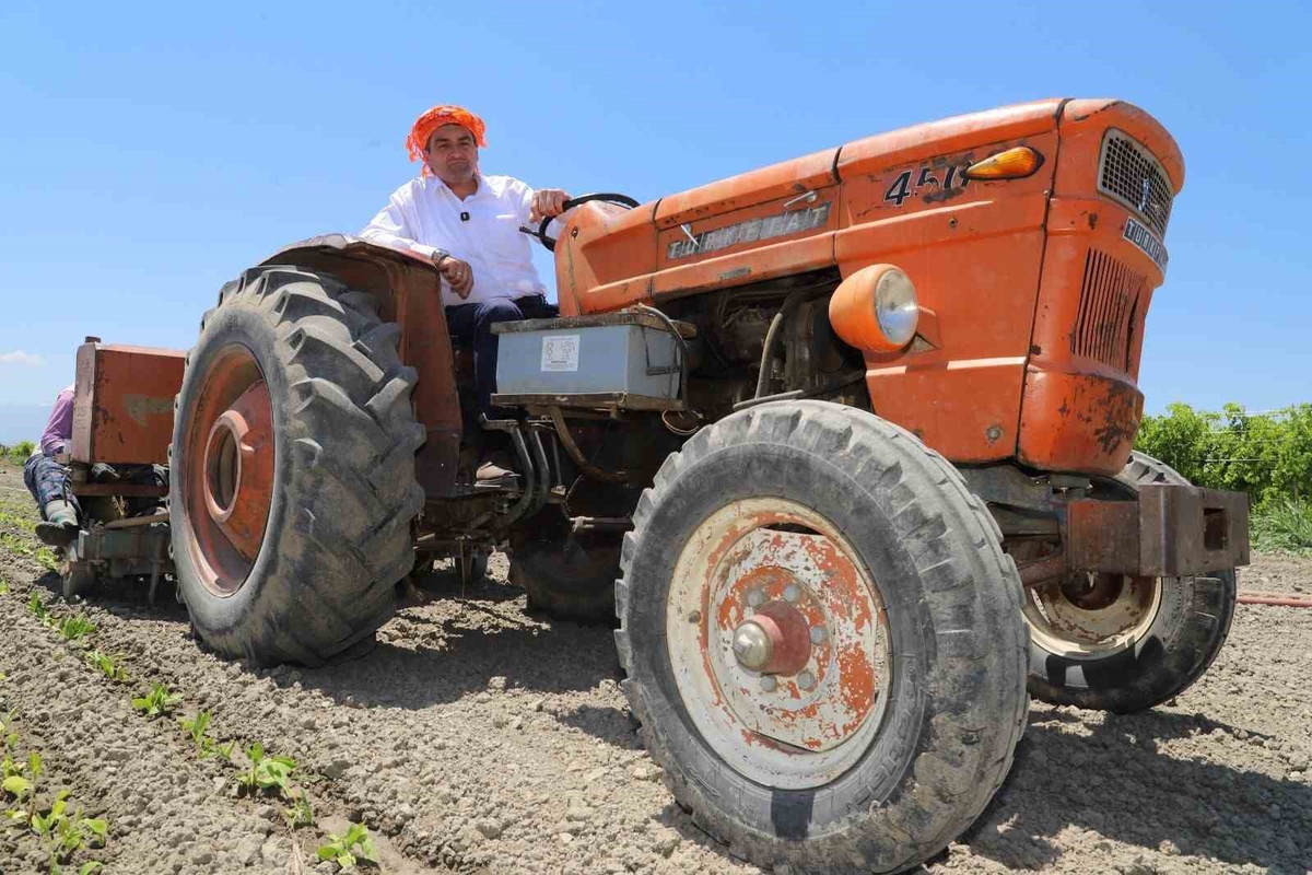Manisa Saruhanlı Belediye Başkanı Ekrem Cıllı üzüm hasadında elini makineye kaptırdı