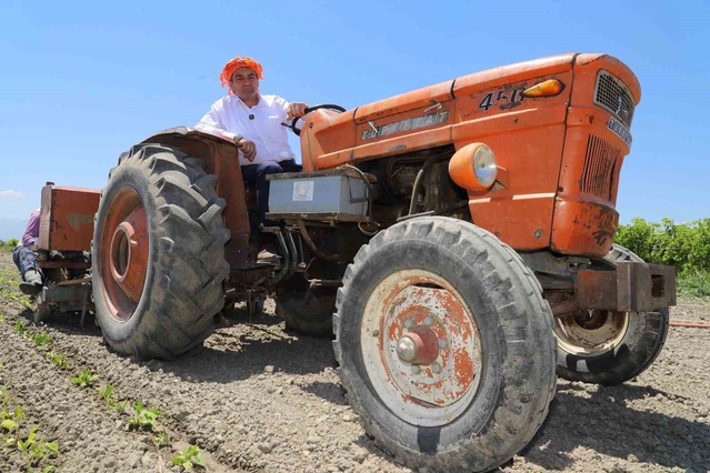 Manisa Saruhanlı Belediye Başkanı Ekrem Cıllı üzüm hasadında elini makineye kaptırdı
