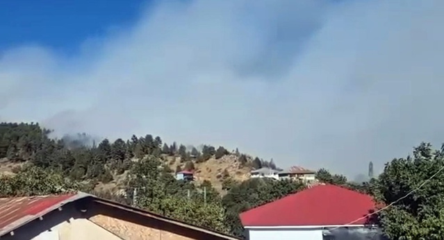 Adana'daki 3 farklı bölgede yangınların enerjisi düşürüldü, söndürme çalışmaları sürüyor