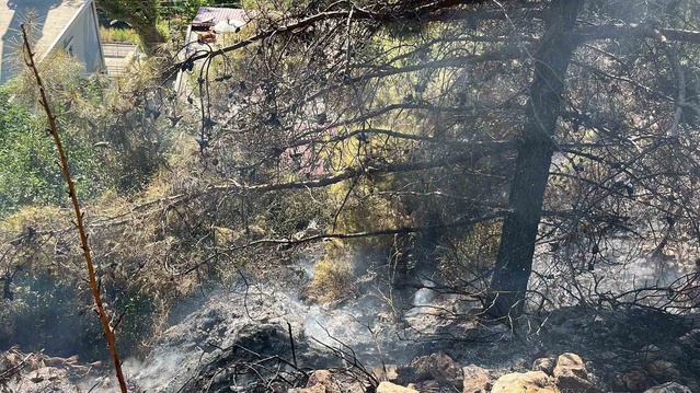 Alanya Bektaş'ta çalılık yangını ekiplerin hızlı müdahalesiyle söndürüldü, 1 dönüm zarar gördü