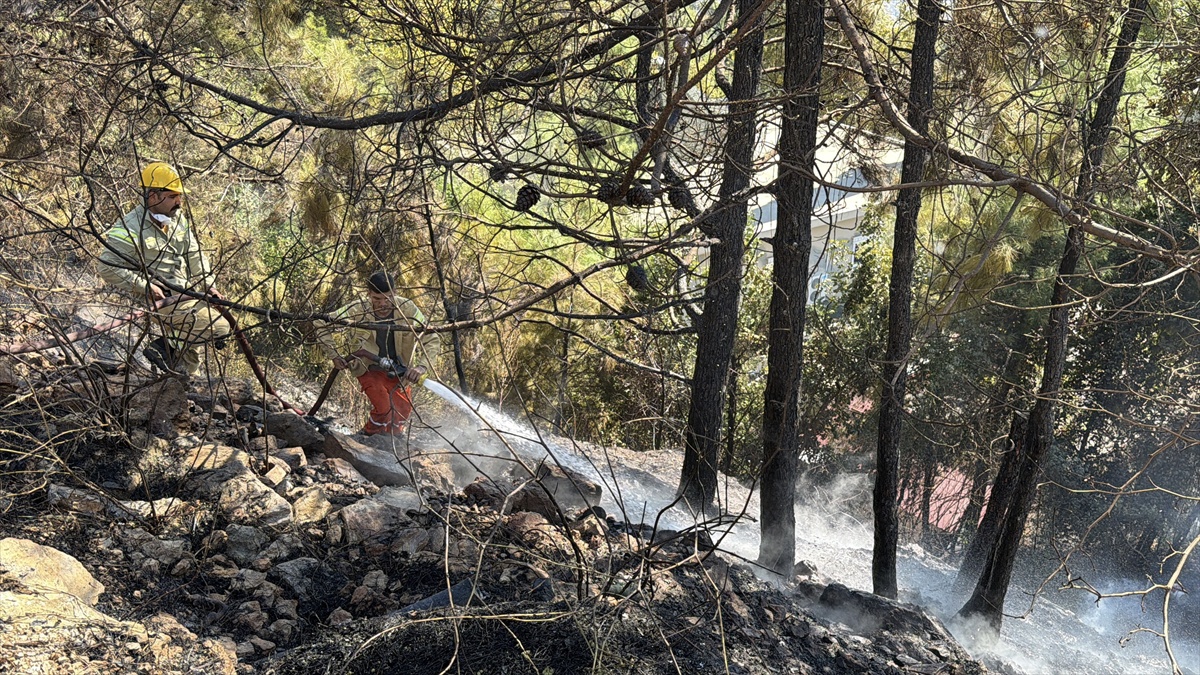 Antalya Alanya\'da çalılık alanda çıkan yangın ekiplerce söndürüldü, 1 dönüm zarar gördü