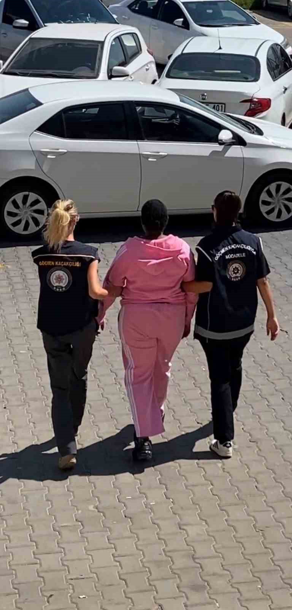 Aydın\'da göçmen kaçakçılığı operasyonunda tutuklanan zanlı, 19 göçmenle yakalandı