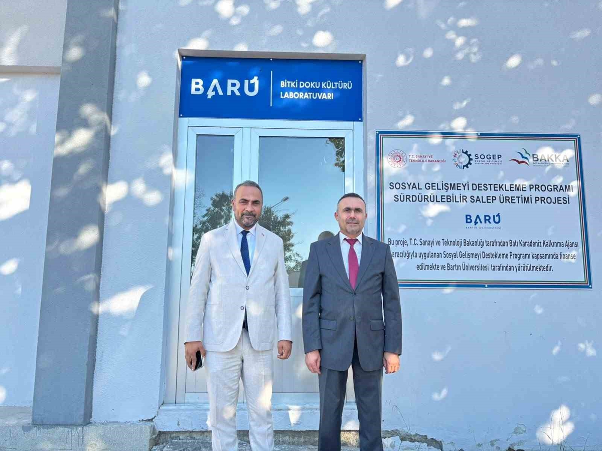 Bartın Üniversitesi\'nin salep orkidesini koruyan üretim projesi tamamlandı