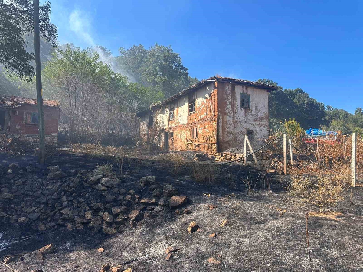 Bilecik Bozüyük\'te otluk alandan ormana sıçrayan yangın söndürüldü, 2 ev zarar gördü